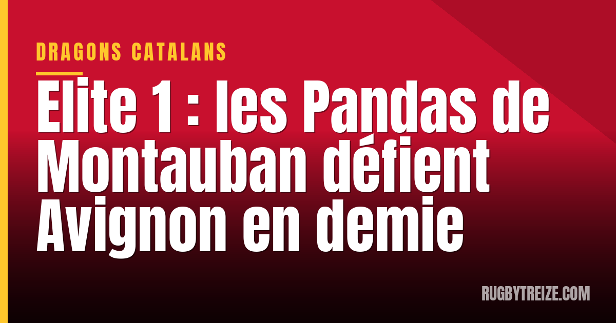 Elite 1 : les Pandas de Montauban défient Avignon en demie